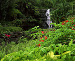 深山老林