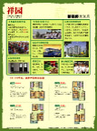房地产单页反