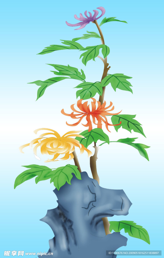 梅兰竹菊