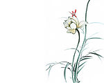 荷花蜻蜓