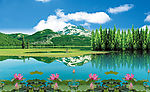 风景