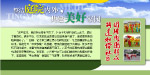社区版面