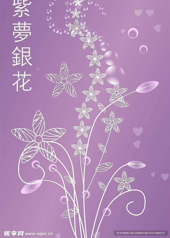 紫梦银花