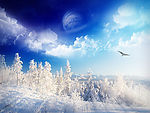 雪地风景