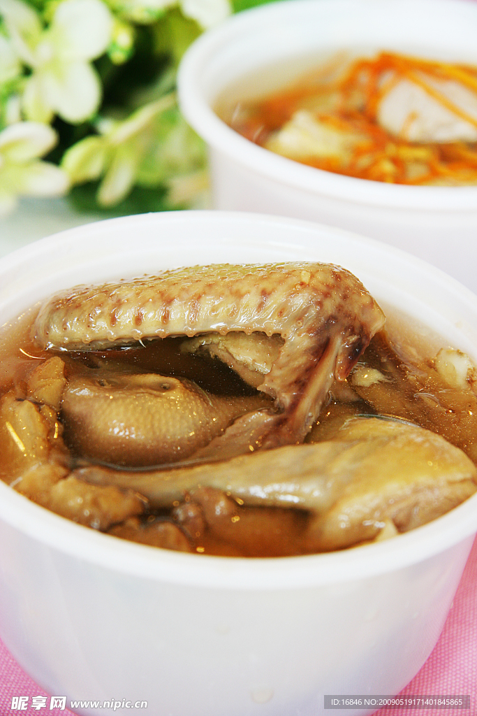 红参当归炖乳鸽