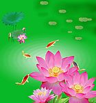 荷花