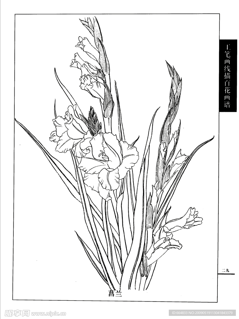 白描