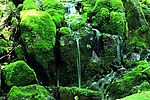 小溪流水