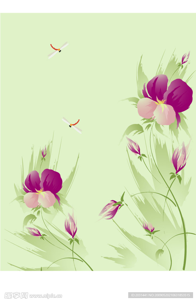 蝴蝶花