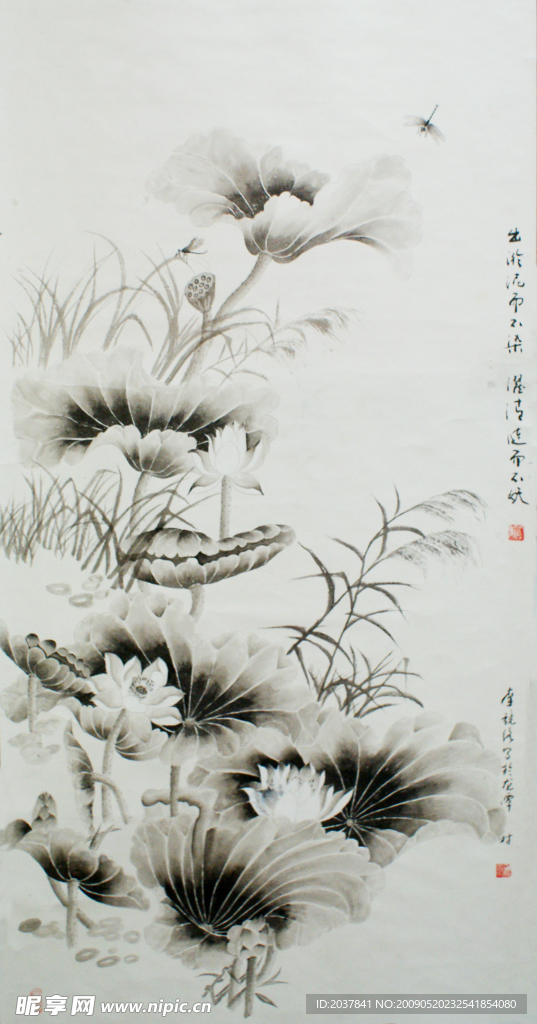 国画——荷