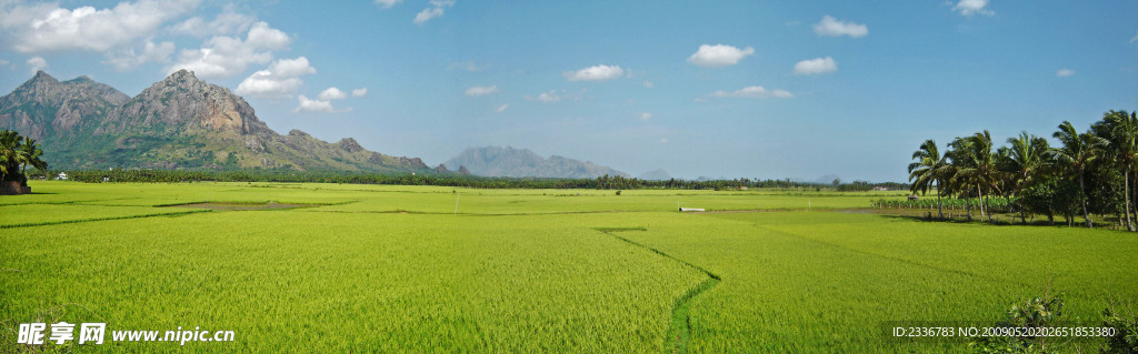 田园