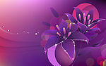 花纹
