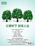 三棵树漆