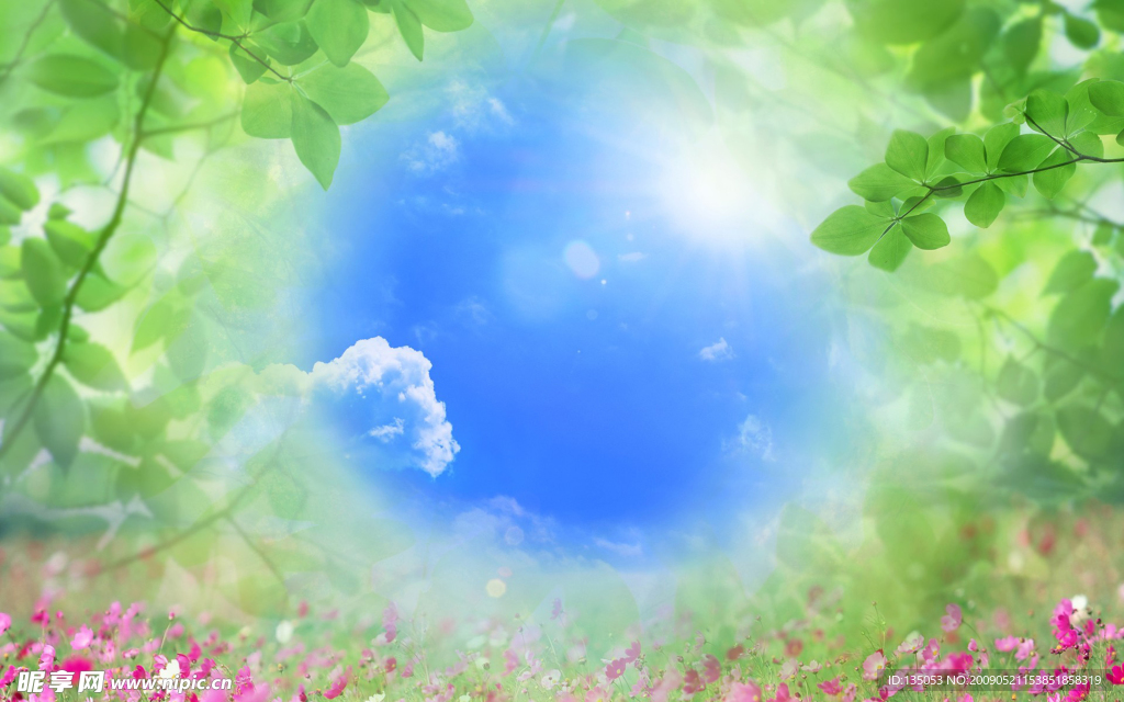 晴空绿叶鲜花