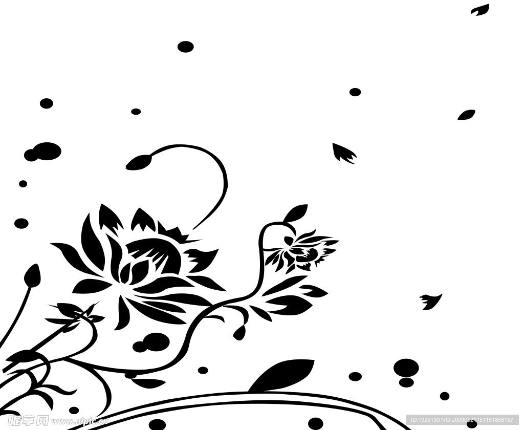 荷花