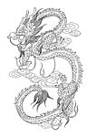 龙纹