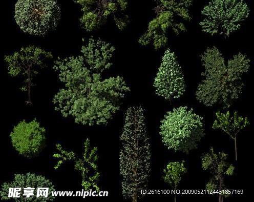 高质量鸟瞰绿化树木素材