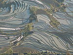 元阳的梯田
