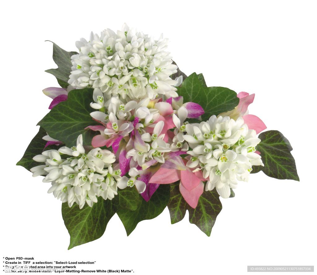 白玉兰花束