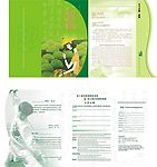 茶叶节请柬