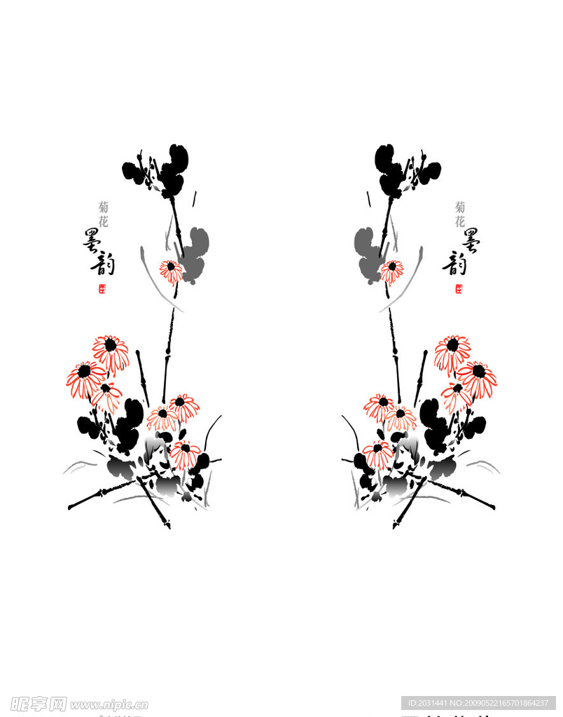 墨韵菊花