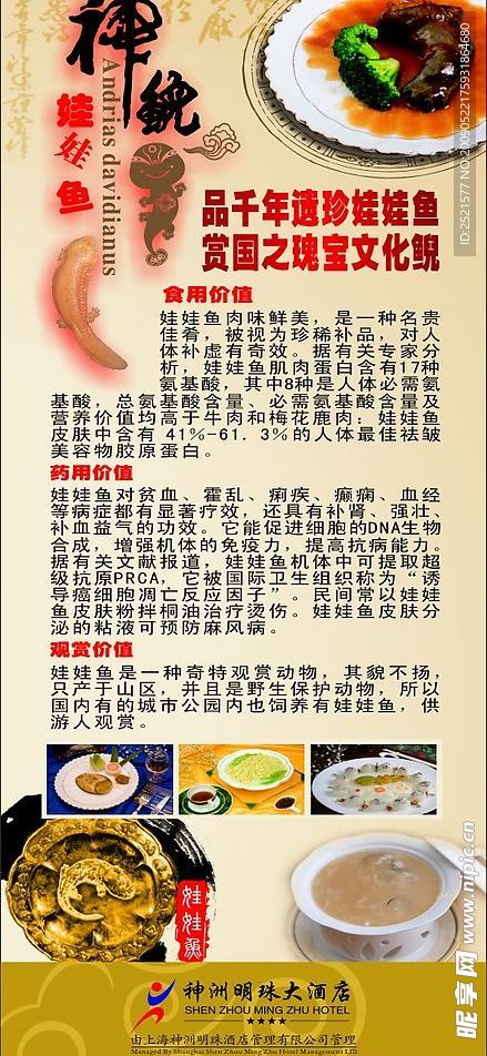 娃娃鱼海报