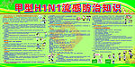 甲型H1N1防治知识   猪流感