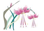 水仙花