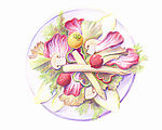 彩铅 绘画 美食 菜谱