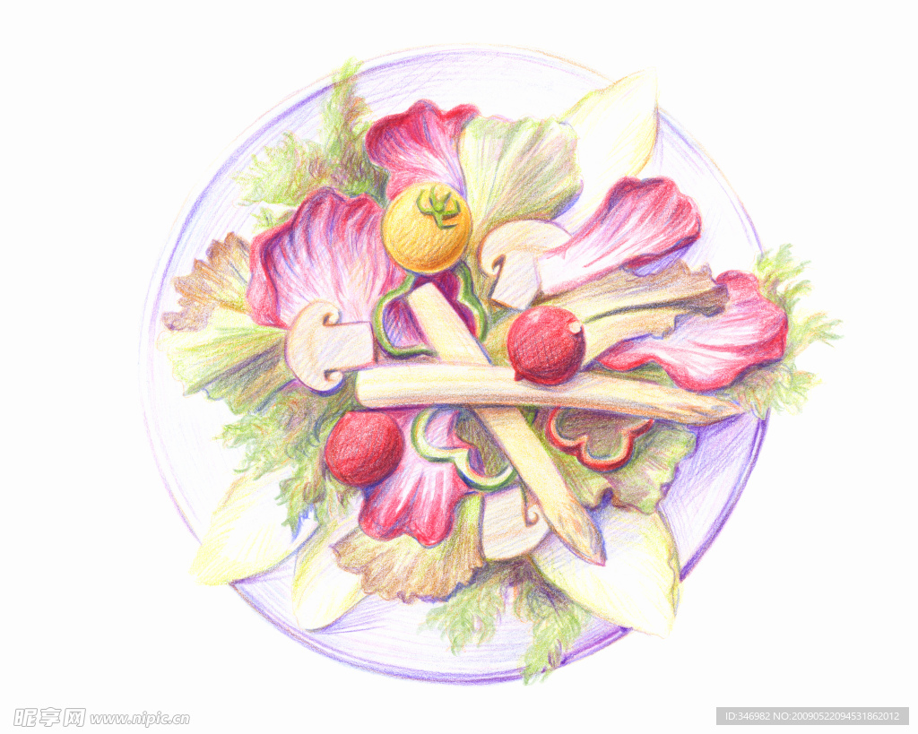 彩铅 绘画 美食 菜谱