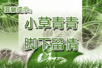 草坪牌