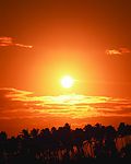 夕阳特写