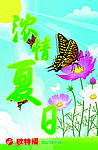 浓情夏日