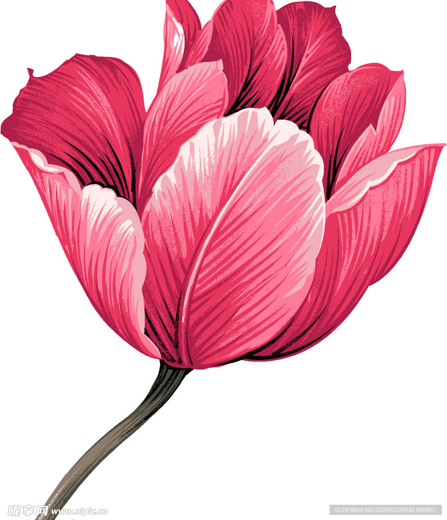 一支花