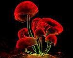 3D红蘑菇