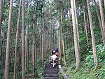 山间旅游