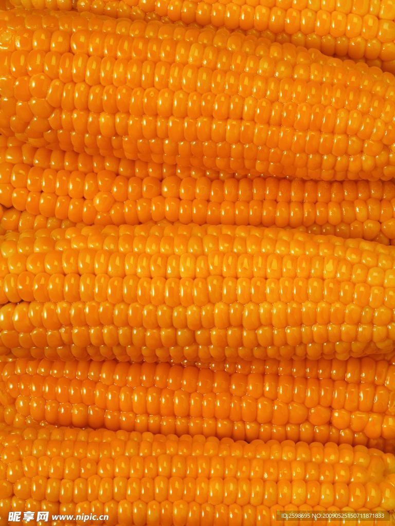 高清玉米食品背景