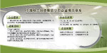 企业版面