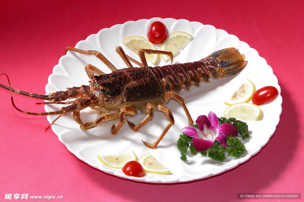 龙虾