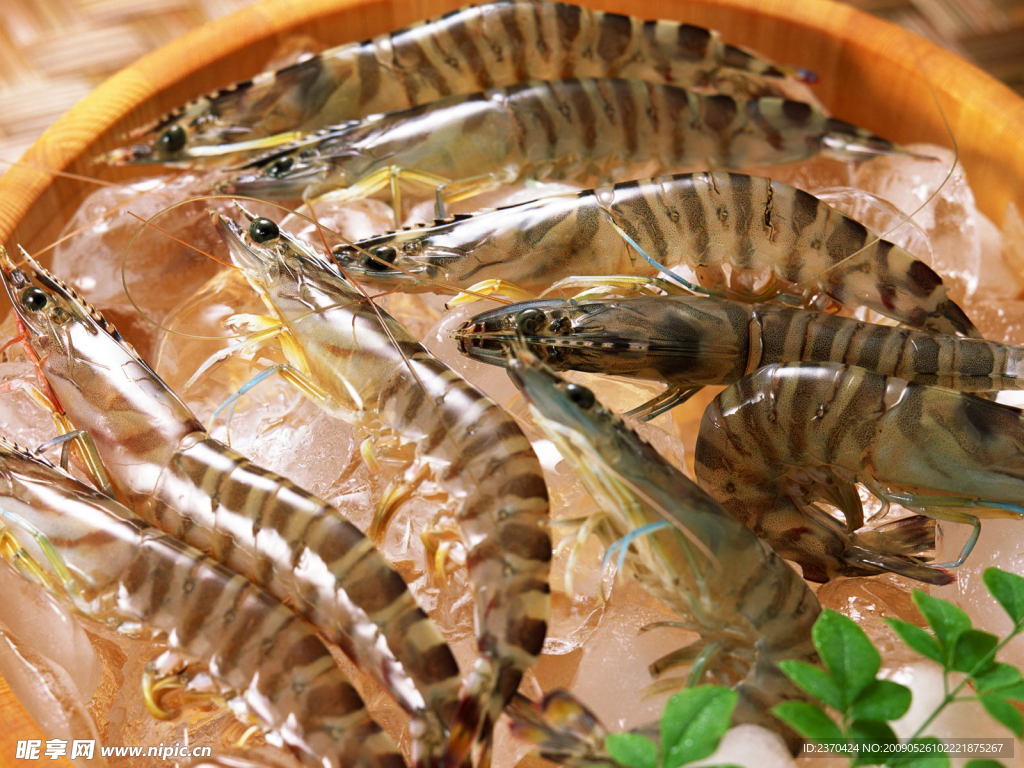 鲜虾