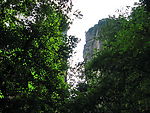 山间绿意