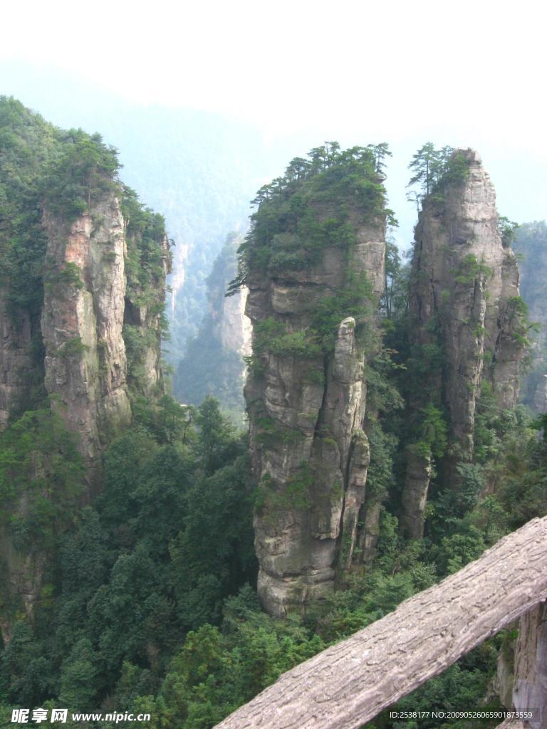 山中石林