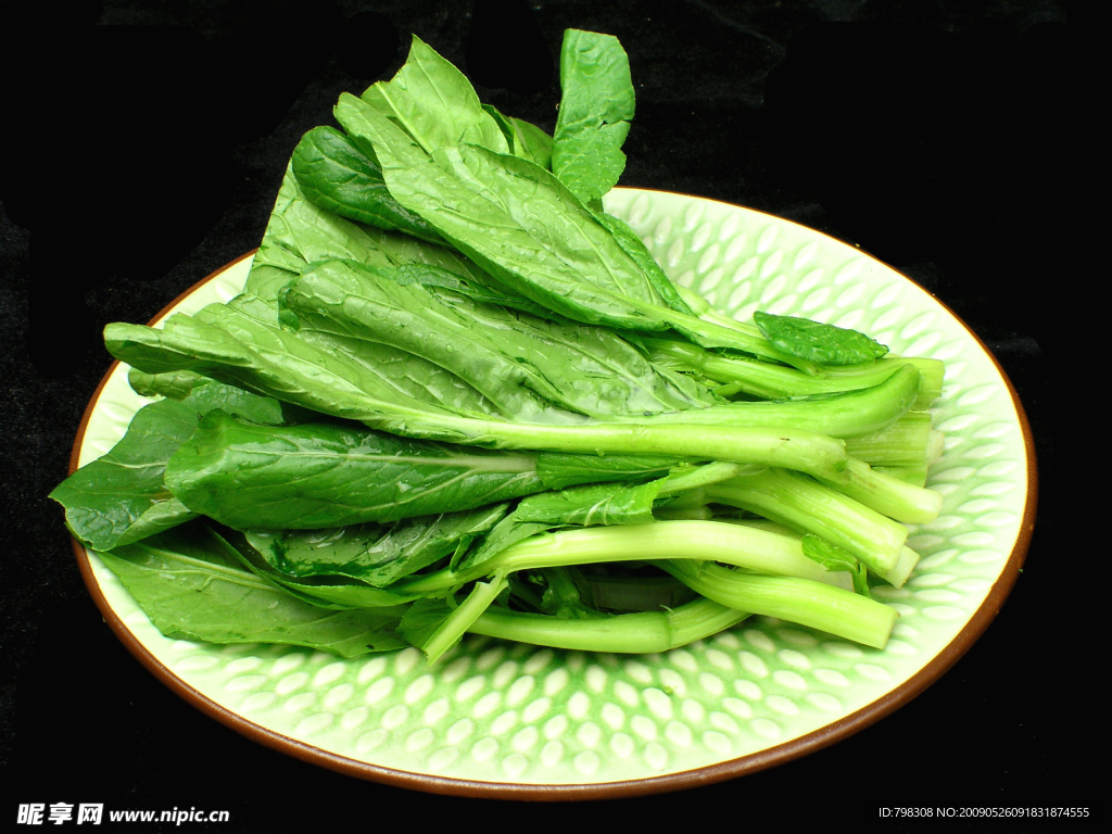 广东菜心