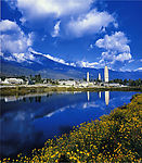 河边风景