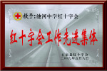 奖牌 银色 红十字会