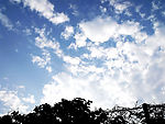 仰望 天空
