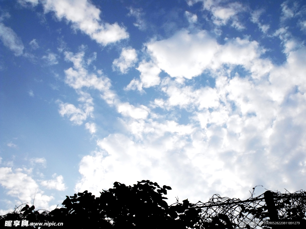 仰望 天空