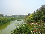 清河公园