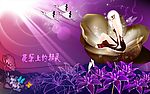 花朵里的精灵