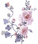 高清晰分层花纹